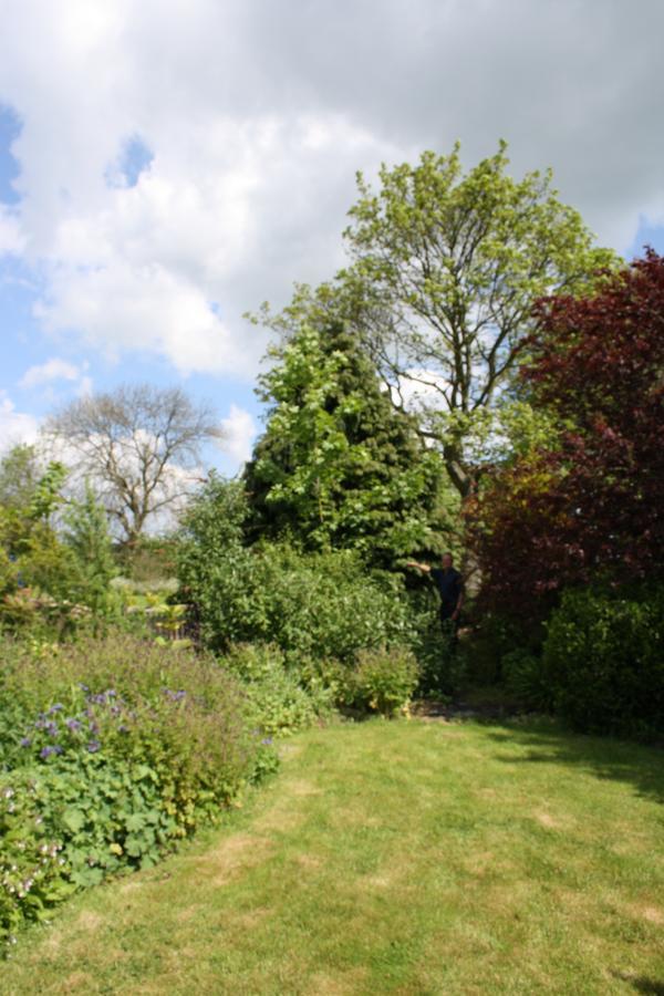 Foxholm Bed And Breakfast Scarborough Extérieur photo