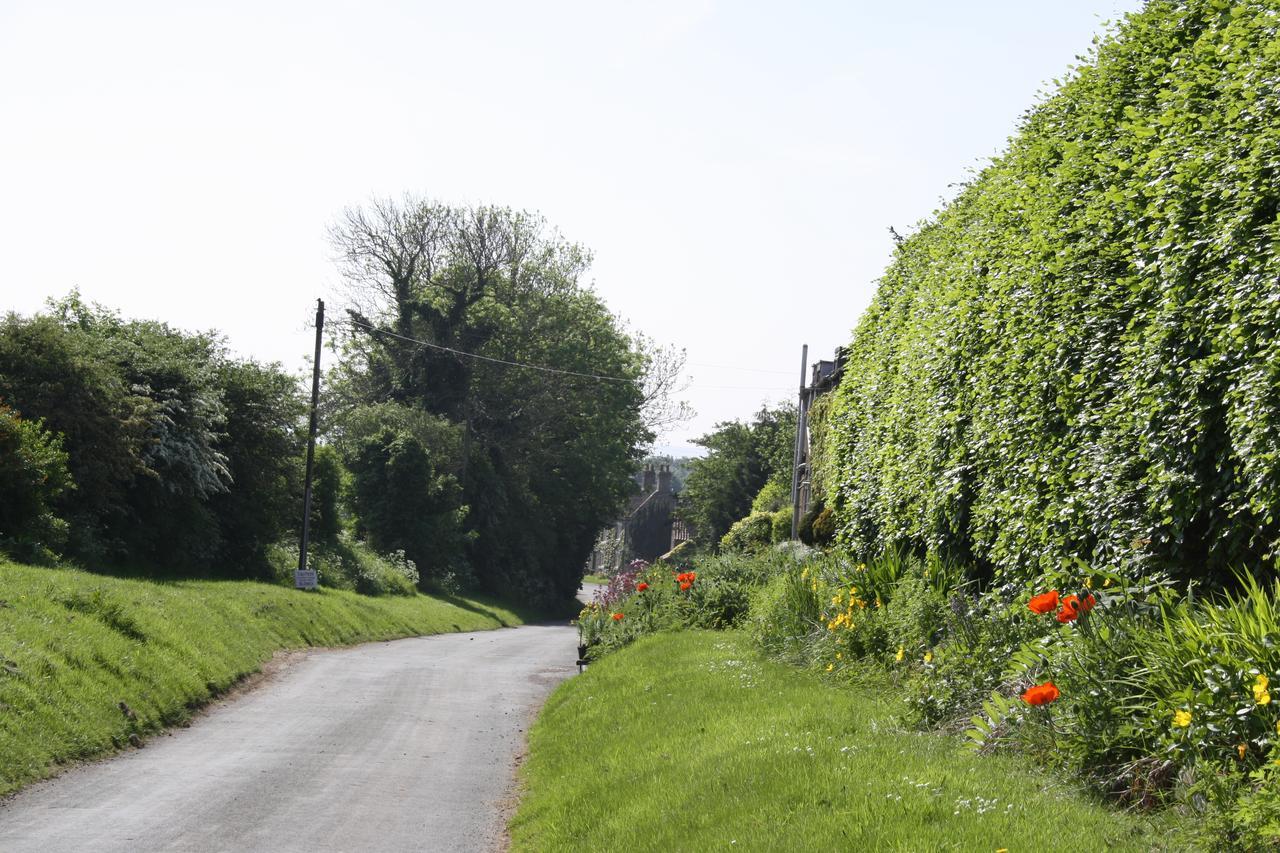 Foxholm Bed And Breakfast Scarborough Extérieur photo