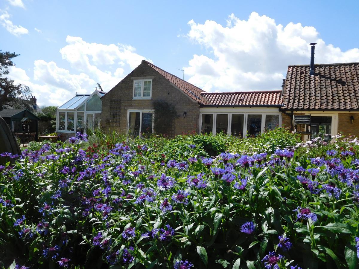 Foxholm Bed And Breakfast Scarborough Extérieur photo